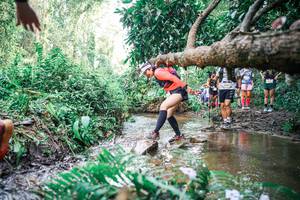 BIB: 
                            <button type="button" onclick="openModal(25513931)" class="btn btn-primary btn-sm float-right btn-popup" data-toggle="modal" data-target=".modal-high-quality">
                        <i class="fas fa-shopping-cart"></i> Add to Cart
                    </button>
                                            <button type="button" onclick="isThisMe(25513931, true)" class="btn btn-success btn-sm float-right btn-popup btn-isme hidden" data-toggle="tooltip" data-placement="bottom" title="นี่คือรูปของคุณใช่ไหม คลิกที่นี่เพื่อเอาเข้าอัลบั้ม">
                        <i class="fas fa-plus"></i> Add to album
                    </button>
                    <button type="button" onclick="isThisMe(25513931, false)" class="btn btn-warning btn-sm float-right btn-popup btn-isnotme hidden">
                        <i class="fas fa-ban"></i> Remove from album
                    </button>